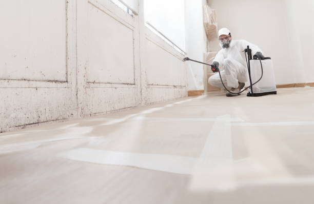 24/7 Emergency Mold Remediation experts in Zieglerville, PA