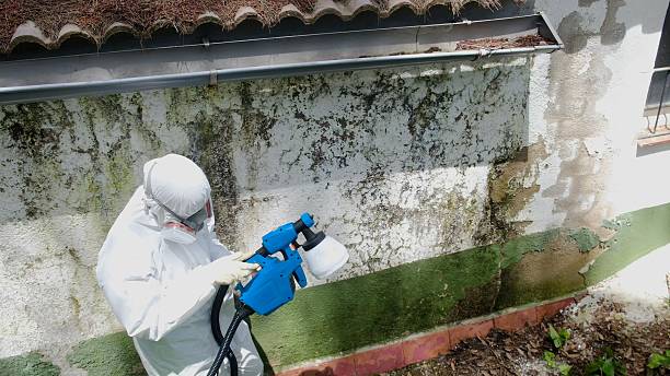 Top rated local Mold Remediation specialists in Zieglerville, PA